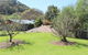 Cedar Grove - - thumb 6