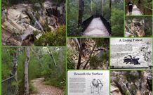 Finchley Bed And Breakfast - Accommodation in Bendigo 7