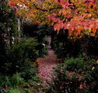 Gulgong B and B - Accommodation in Bendigo