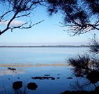 The Edgewater Bed and Breakfast - Accommodation in Bendigo