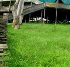 Snowy Valley Resort - Accommodation in Bendigo