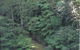 Eco Huts - Jervis Bay Getaways - thumb 1