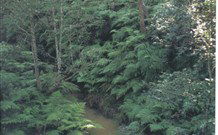 Eco Huts - Jervis Bay Getaways - Accommodation in Bendigo 1