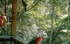 Eco Huts - Jervis Bay Getaways - thumb 2