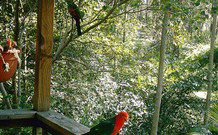 Eco Huts - Jervis Bay Getaways - Accommodation in Bendigo 2