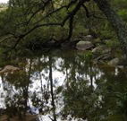 In Essentia Healing Hut of Kangaroo Valley