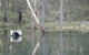 Kookaburra Cottage Pooncarie - thumb 6