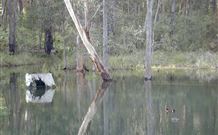 Kookaburra Cottage Pooncarie - Accommodation in Bendigo 6