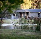Mt Clunie Cabins - Accommodation in Bendigo