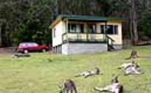 Port Pitstop Cottage - Accommodation in Bendigo 0