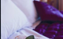 Tristania Tops Barrington - Accommodation in Bendigo 1