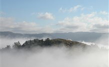 Tristania Tops Barrington - Accommodation in Bendigo 2