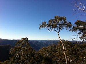 Cheyenne Wilderness Farmstay - Accommodation in Bendigo 5