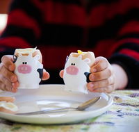 Cosy Cow Farmstay Bed and Breakfast - Accommodation in Bendigo