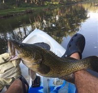 Dumaresq Homestead - Accommodation in Bendigo