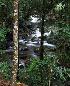 Daintree Secrets Waterfall Sanctuary - Accommodation in Bendigo 1