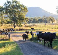 Tommerups Dairy Farmstay - Accommodation in Bendigo