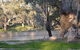 Beds In The Barwon - thumb 0
