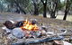 Beds In The Barwon - thumb 1