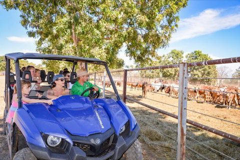 Bullo River Station - Accommodation in Bendigo 4