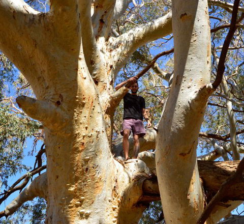 Eldee Station Accommodation, Caravan And Campsites - Accommodation in Bendigo 5