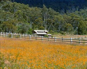 Pender Lea Alpine Guest Accommodation - Accommodation in Bendigo 1