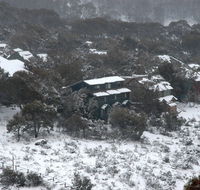 Three Bears 3 - Accommodation in Bendigo