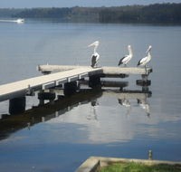 Basin Cabin - Accommodation in Bendigo
