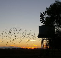 Nevertire Hotel - Accommodation in Bendigo