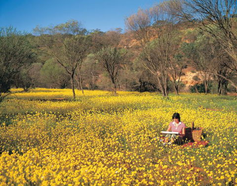 Wolfe Creek Crater Camp At Wolfe Creek Crater National Park - Accommodation in Bendigo 20