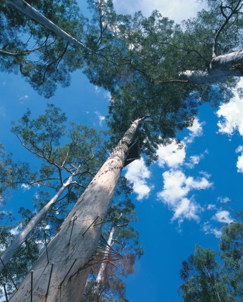 Wolfe Creek Crater Camp At Wolfe Creek Crater National Park - Accommodation in Bendigo 13