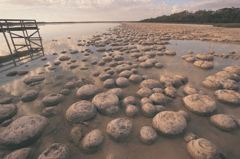 Wolfe Creek Crater Camp At Wolfe Creek Crater National Park - Accommodation in Bendigo 22