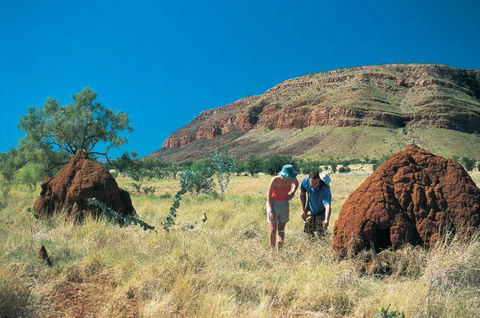 Wolfe Creek Crater Camp At Wolfe Creek Crater National Park - Accommodation in Bendigo 19