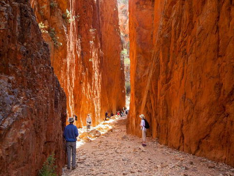 Standley Chasm Angkerle Camping - Accommodation in Bendigo 4