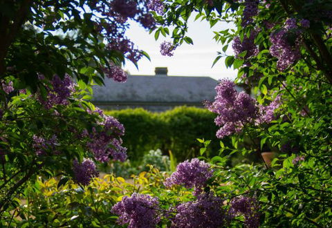 Eurambeen Historic Homestead And Gardens - Accommodation in Bendigo 1
