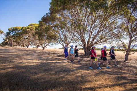 Kangaroo Island Health Retreat - Accommodation in Bendigo 2