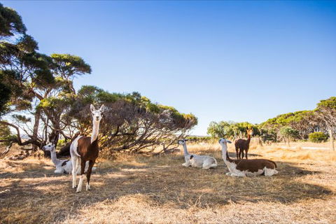 Kangaroo Island Health Retreat - Accommodation in Bendigo 8
