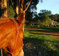 Billa Billa Farm Cottages - Accommodation in Bendigo