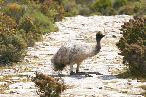 Congo Campground - Accommodation in Bendigo 3