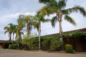 Darling Junction Motel - Accommodation in Bendigo 2