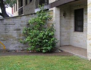 Avon Court Apartments - Accommodation in Bendigo 2