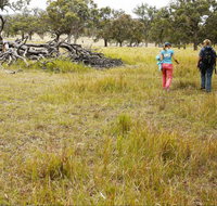 Carnarvon National Park camping - Accommodation in Bendigo