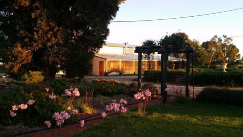 Angas Plains Wines Suites - Accommodation in Bendigo 2
