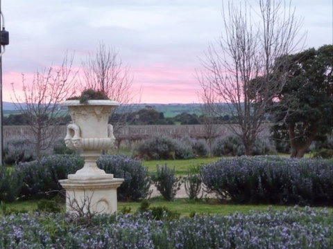 Angas Plains Wines Suites - Accommodation in Bendigo 3