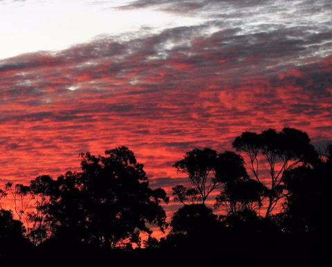 'The Dales' Boutique Bed And Breakfast - Accommodation in Bendigo 8