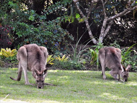 'The Dales' Boutique Bed And Breakfast - Accommodation in Bendigo 9