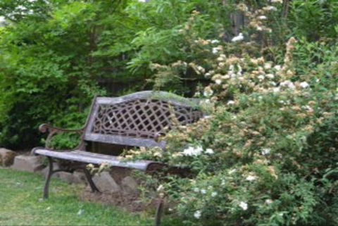 Garden Cottage B And B - Accommodation in Bendigo 4