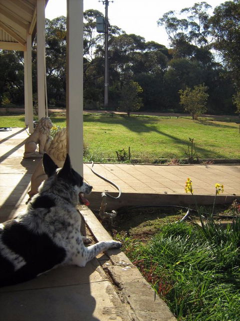 Great Grandpa Henry Retreat - Accommodation in Bendigo 4