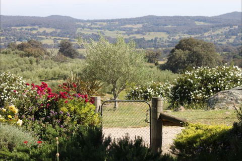L'Oliveraie - Accommodation in Bendigo 1