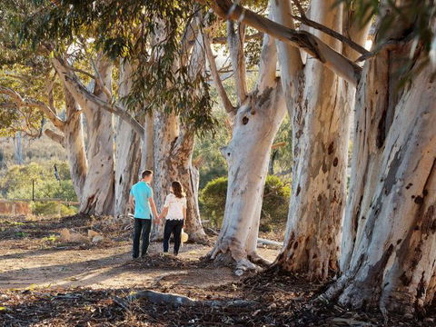 Rilli Retreat - Accommodation in Bendigo 3